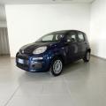 usato FIAT Panda