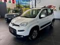 usato FIAT Panda
