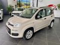 usato FIAT Panda
