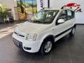 usato FIAT Panda