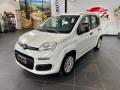 usato FIAT Panda