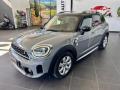 usato MINI Countryman