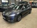 usato FORD Focus