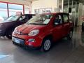usato FIAT Panda