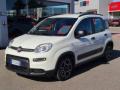 usato FIAT Panda
