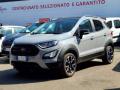 usato FORD EcoSport