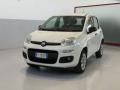 usato FIAT Panda