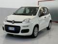 usato FIAT Panda