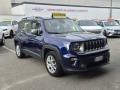 usato JEEP Renegade