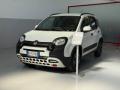 usato FIAT Panda Cross