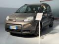 usato FIAT Panda