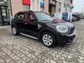 usato MINI Countryman