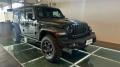 usato JEEP Wrangler