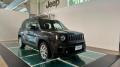 usato JEEP Renegade
