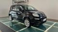 usato FIAT Panda