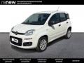 usato FIAT Panda