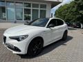 usato ALFA ROMEO Stelvio
