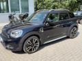 usato MINI Countryman