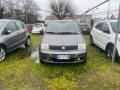 usato FIAT Panda