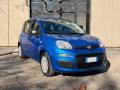 usato FIAT Panda