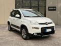 usato FIAT Panda