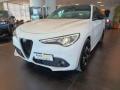 usato ALFA ROMEO Stelvio