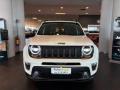 usato JEEP Renegade