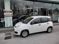 usato FIAT Panda