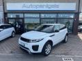 usato LAND ROVER Range Rover Evoque