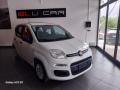 usato FIAT Panda