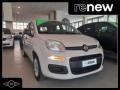 usato FIAT Panda