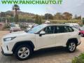 usato TOYOTA RAV 4 MY23