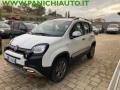 usato FIAT Panda Cross