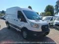 usato FORD Transit