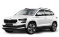 usato SKODA Kamiq