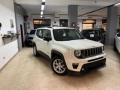 usato JEEP Renegade