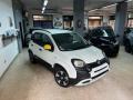 usato FIAT Pandina