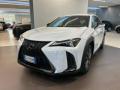 usato LEXUS UX Full Electric