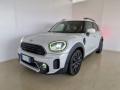 usato MINI Countryman