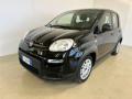 usato FIAT Panda