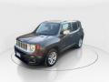 usato JEEP Renegade