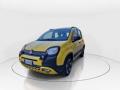 usato FIAT Panda Cross
