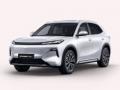 usato GEELY Starray EM i