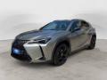 usato LEXUS UX 250h