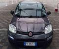 usato FIAT Panda