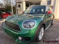 usato MINI Countryman