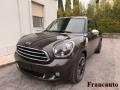 usato MINI Paceman