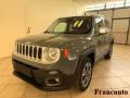 usato JEEP Renegade