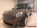 usato MINI Countryman