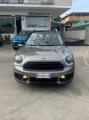 usato MINI Countryman